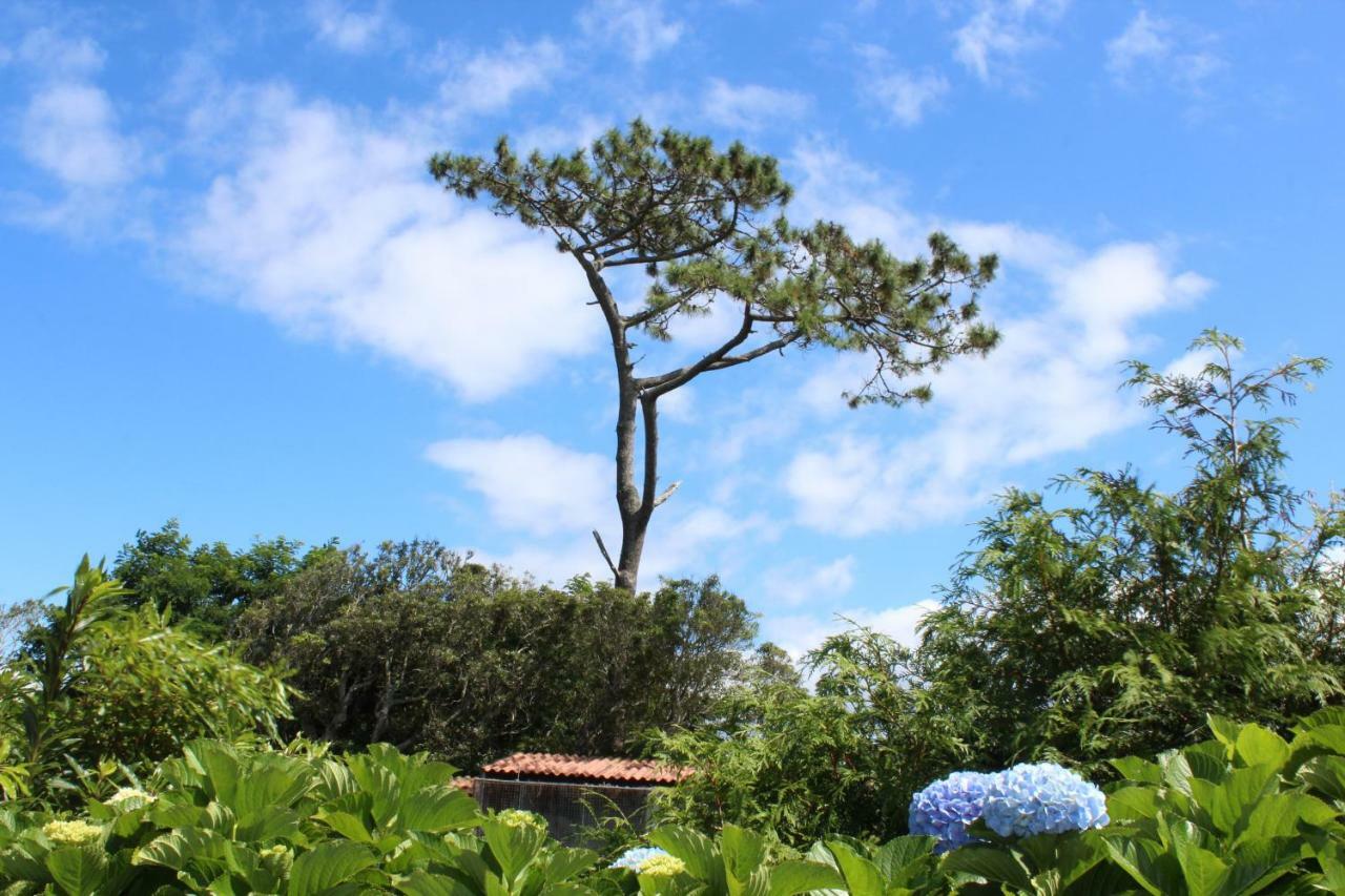 Quinta Do Torreao Villa Capelas Exteriör bild